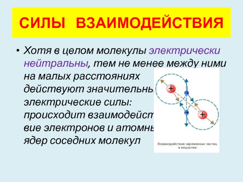 Между менее. Броуновское движение силы взаимодействия молекул. Электрические молекулы. Молекула электричества строение. Электрическая сила взаимодействия между электроном и протоном.