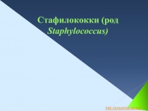 Лекция-презентация Стафилококки (род Staphylococcus)
