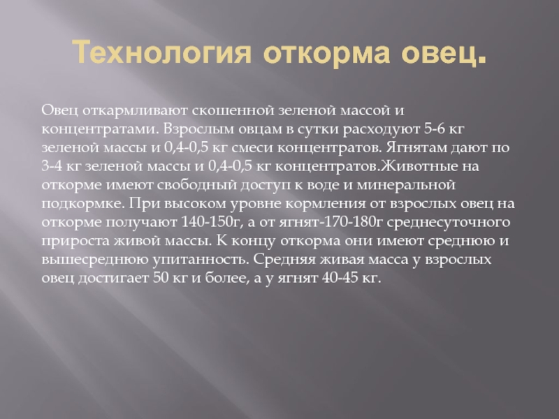 Технология стрижки овец презентация