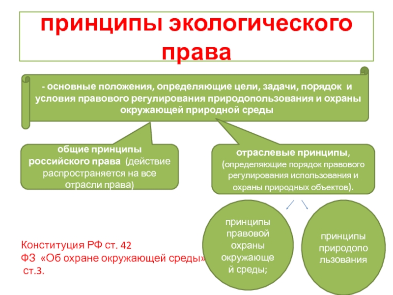 Проект экологическое право 10 класс