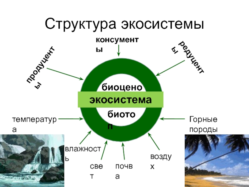 Биогеоценология