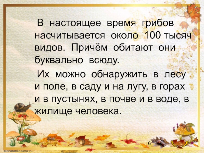 Про грибы 2 класс. Грибы презентация 2 класс. Грибы презентация перспектива. Презентация по грибы 2 класс. Презентация грибы 2 класс окружающий мир.