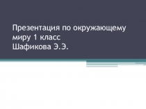 Презентация по окружающему миру 