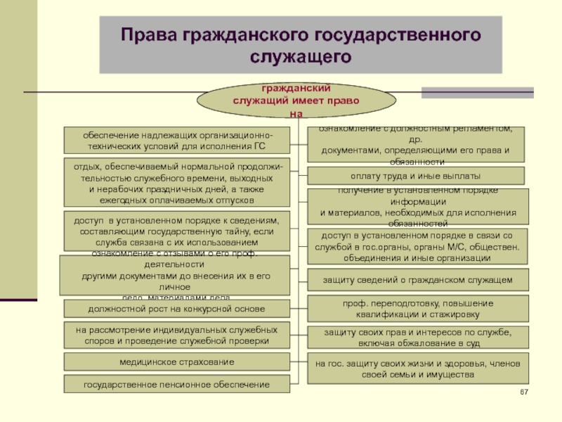 Административное право россии презентация