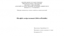 ФЕДЕРАЛЬНОЕ ГОСУДАРСТВЕННОЕ ОБРАЗОВАТЕЛЬНОЕ УЧРЕЖДЕНИЕ ВЫСШЕГО ОБРАЗОВАНИЯ