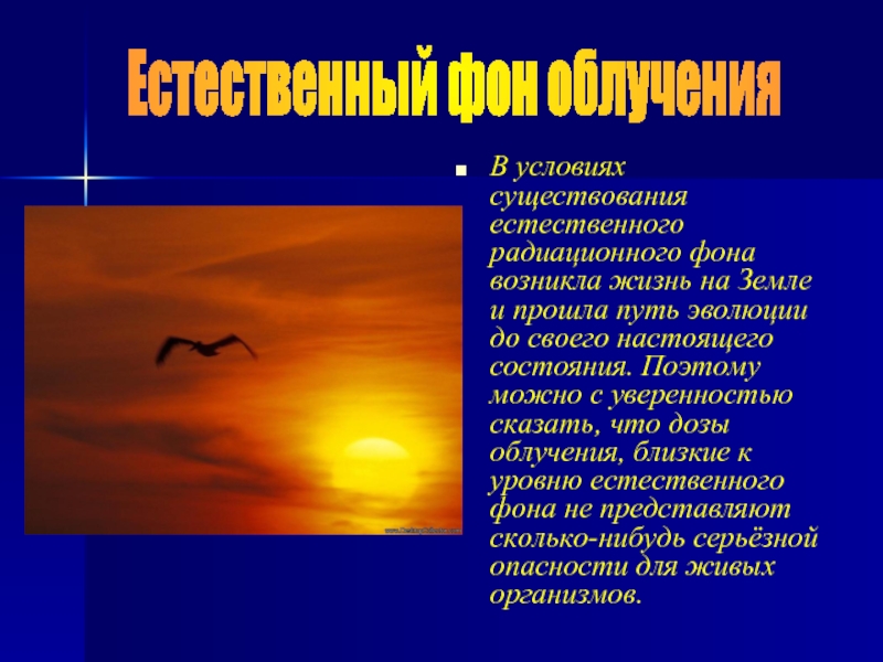 Естественный радиационный. Естественный радиационный фон земли. Чем обусловлено существование естественного фона радиации.