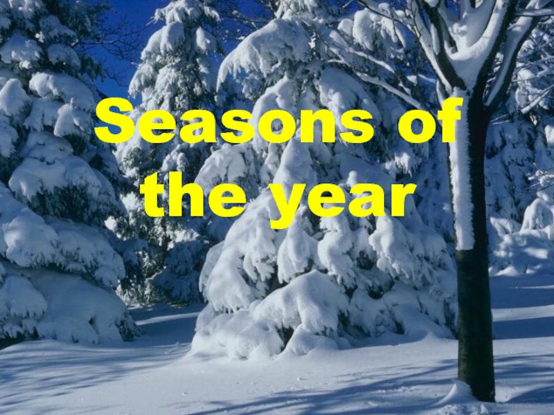 Презентация Seasons of the year