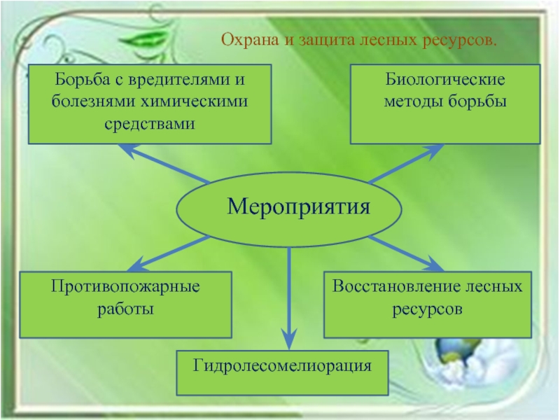 Охрана природы в россии презентация 11 класс