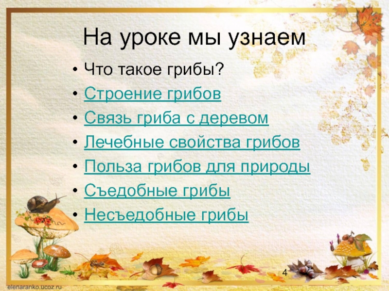 Грибы 2 класс. Презентация по грибы 2 класс. Грибы презентация 2 класс. Презентация грибы 2 класс окружающий мир. Урок по окружающему миру 2 класс грибы презентация.