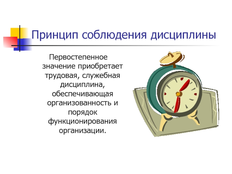 Значимость принципов. Принцип дисциплины. Принцип соблюдения дисциплины. Соблюдать дисциплину. Принцип дисциплинированности.