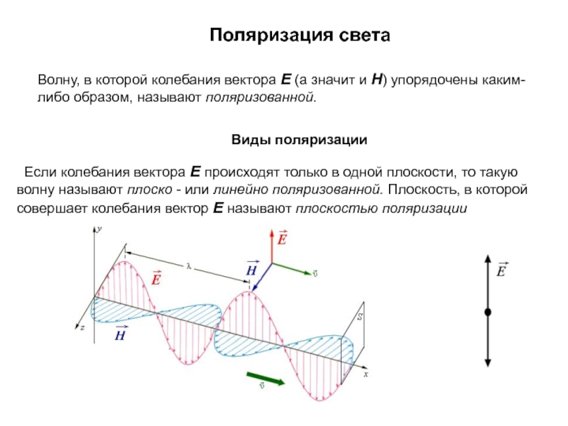 Поляризация света
Волну, в которой колебания вектора E (а значит и H )