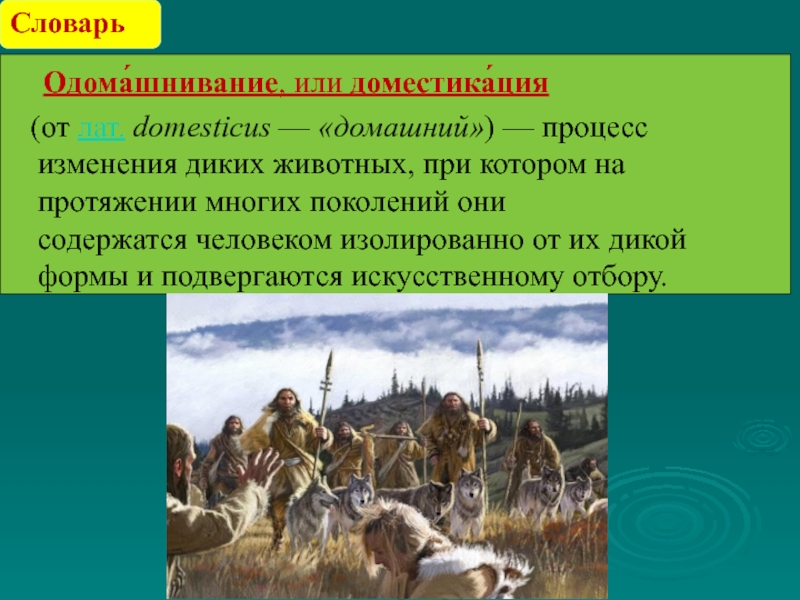 Презентация одомашнивание животных 10 класс