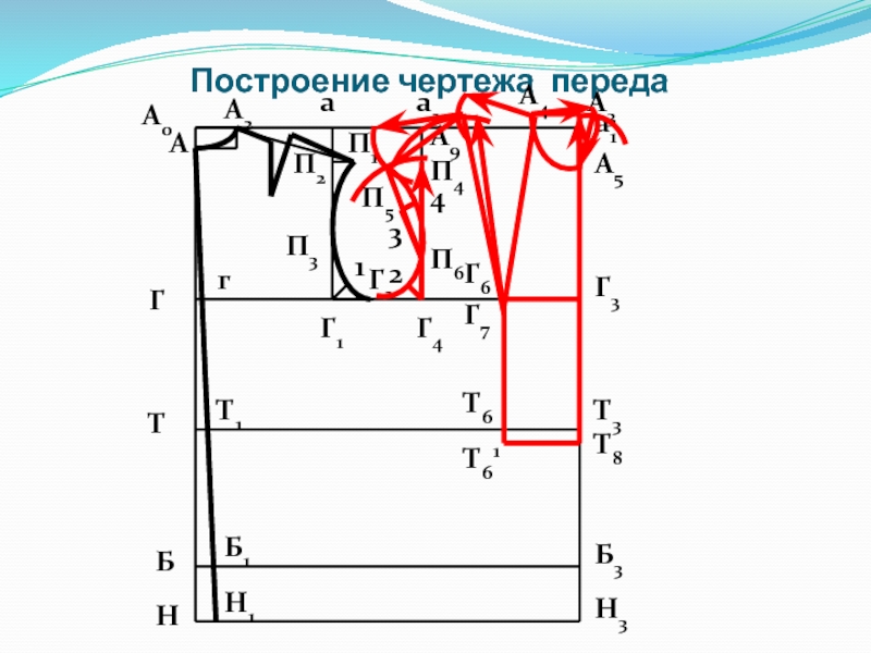 Построение чертежа футболки