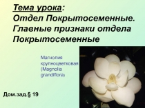 Тема урока : Отдел Покрытосеменные. Главные признаки отдела Покрытосеменные