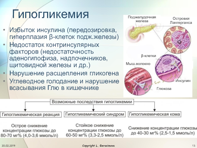 Щитовидная железа патофизиология презентация - 83 фото