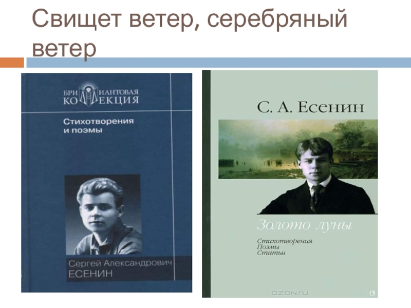 Свищет ветер. Сергей Есенин свищет ветер. Свищет ветер серебряный ветер. Есенин с.а. 