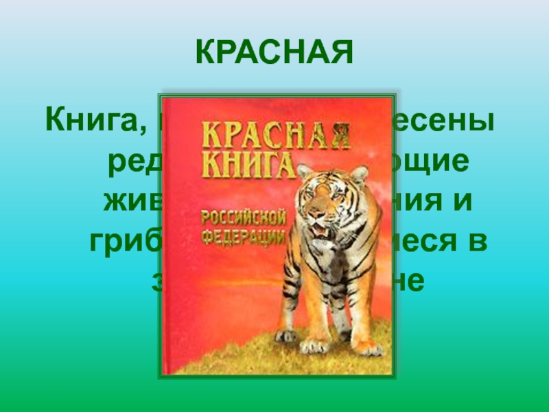 Викторина красная книга презентация