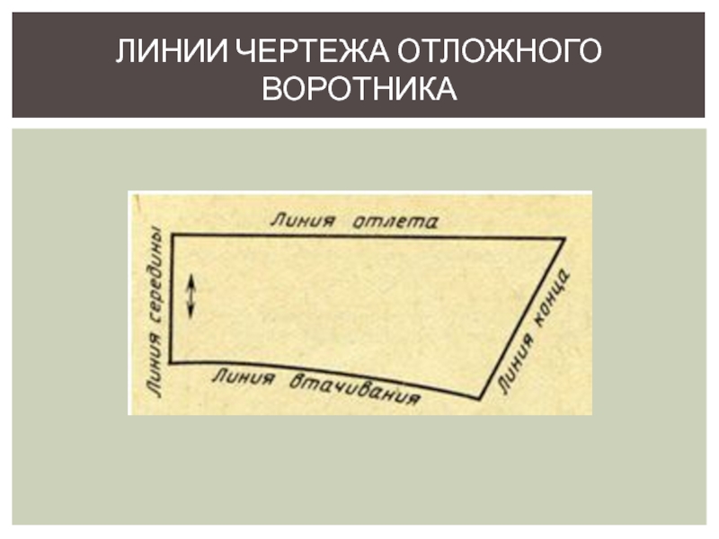 Линии чертежа 5 класс технология