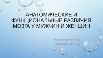 Анатомические и функциональные различия мозга у мужчин и женщин