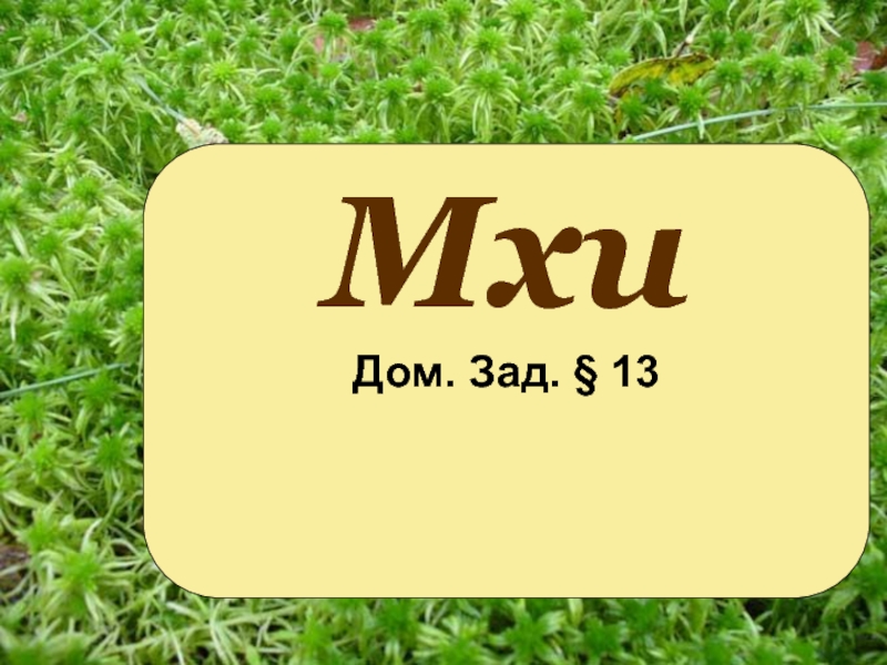 Презентация Мхи
Дом. Зад. § 13