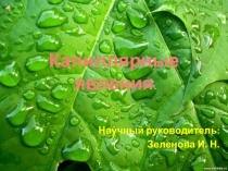 Капиллярные явления