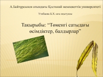 1
А.Байтұрсынов атындағы Қостанай мемлекеттік университеті
Утебаева Б.Х.-аға