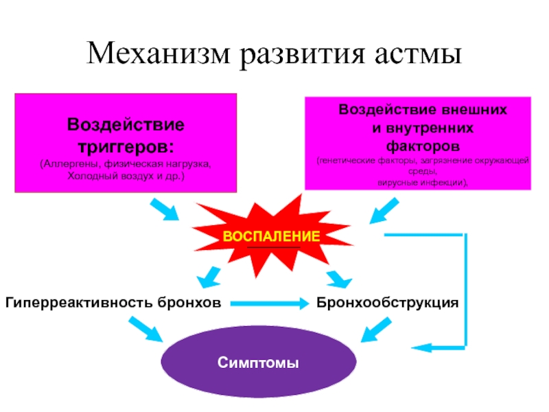 Бронхиальная астма патофизиология презентация