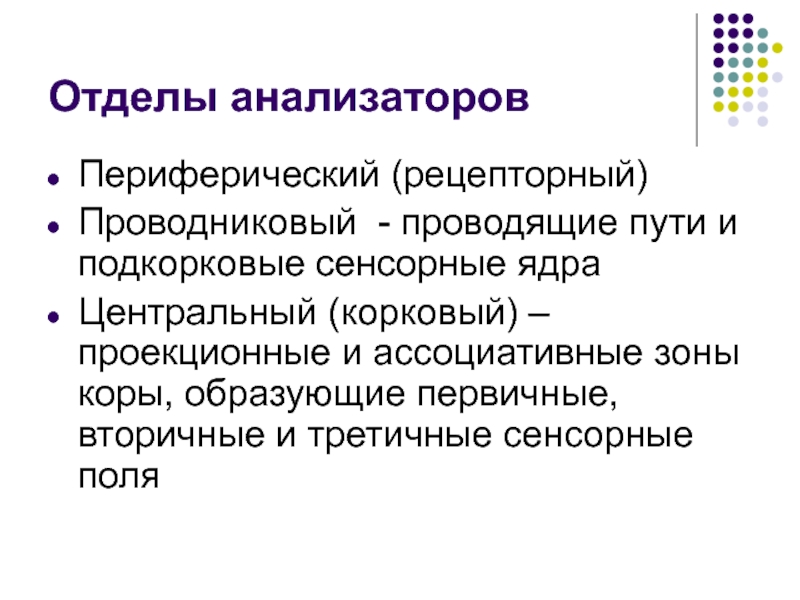 Отделы анализатора. Методы изучения сенсорных систем. Методики исследования сенсорных систем. Методы исследования сенсорных систем физиология. Методы исследования тактильной сенсорной системы.