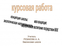 курсовая работа
Учитель
РЕЗАКОВА А. А.
Заклинская школа
концепция