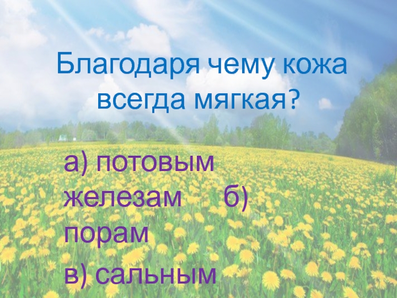 Окружающий мир надежная защита организма 3 класс. Благодаря чему кожа всегда мягкая. Благодарю чему еожа всегда мягкая. Благодаря чему кожа мягкая 3 класс. 15 Благодаря чему кожа всегда мягкая?.