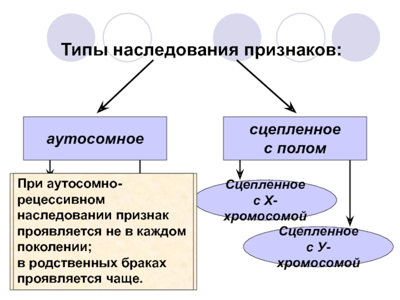 Виды наследования признаков. Типы наследования признаков у человека сцепленное с полом. Типы наследственных признаков. Типы наследования патологических признаков. Основные типы наследования признаков у человека.