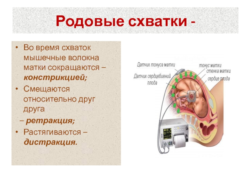 Физиологические роды презентация