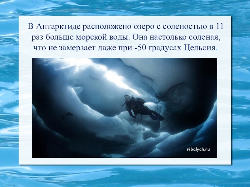 11 раз. Антарктидаозеро с водой, в 11 раз солёнее морской. Озеро в Антарктиде на 11 раз соленее морской. Соленость вод у берегов Антарктиды. Соленость воды Южного Антарктиды.