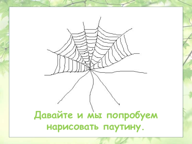 Паук сплел паутину как показано на рисунке. Паутина рисунок. Рисование паутины для дошкольников. Паутина нарисовать. Паутина схема.