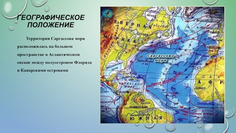 Географическое положение морей. Саргассово море на карте Атлантического океана. Саргассово море на географической карте. Что омывает Саргассово море. Карта морей Саргассово море.