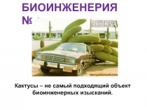 БИОИНЖЕНЕРИЯ № 8
Кактусы – не самый подходящий объект биоинженерных изысканий