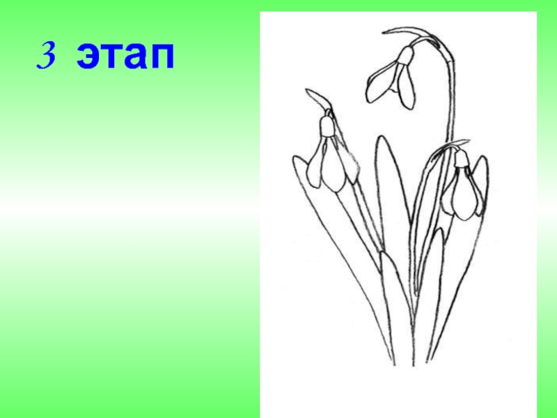 Рисование красками 1 класс пошаговое рисование презентация