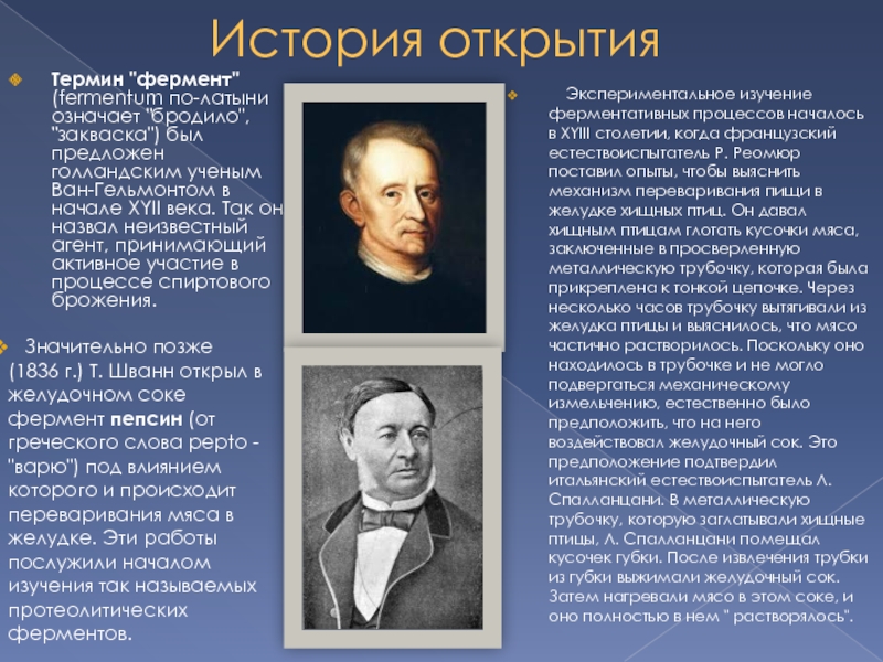 Термин ученый. История открытия ферментов. Ван Гельмонт ферменты. Ученые изучающие ферменты. Кто открыл ферменты.