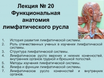 Лекция № 20 Функциональная анатомия лимфатического русла