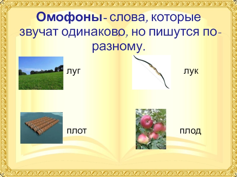 Похоже написано. Слова которые звучат одинаково но пишутся по-разному. Омофоны.