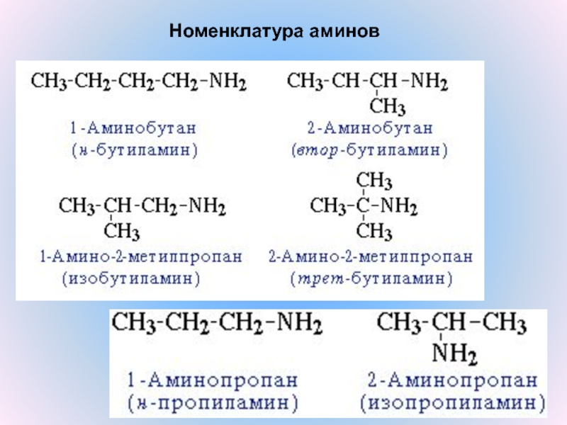 Химия 10 класс амины анилин презентация