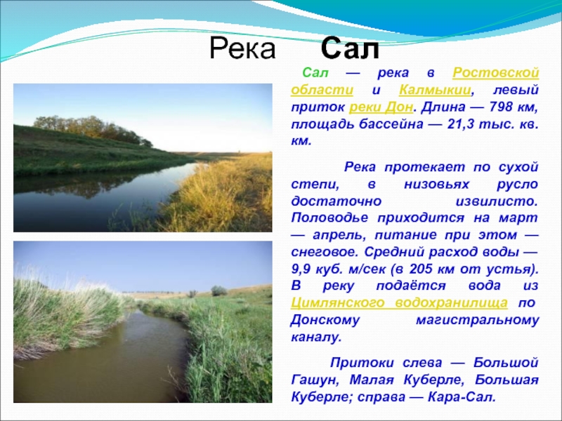 Где река дон. Сал река приток Дона. Дон (река) притоки Дона. Сообщение о реке Дон. Река сал Ростовская область на карте.