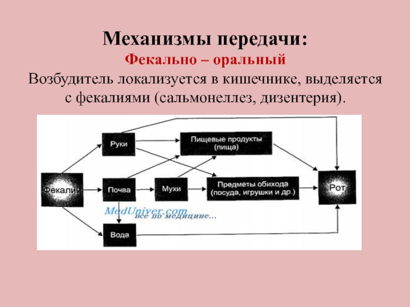 Фекально оральный механизм передачи характерен для. Фекально оральный механизм передачи возбудителя. Механизмы передачи возбудителя. Фекально-оральном механизме передачи возбудителя инфекции. Пути реализации фекально-орального механизма передачи.