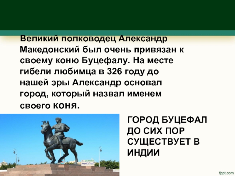 ГОРОД БУЦЕФАЛ ДО СИХ ПОР СУЩЕСТВУЕТ В ИНДИИВеликий полководец Александр Македонский был очень привязан к своему коню