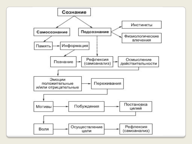 Предметность и рефлексивность самосознания сознание и язык презентация