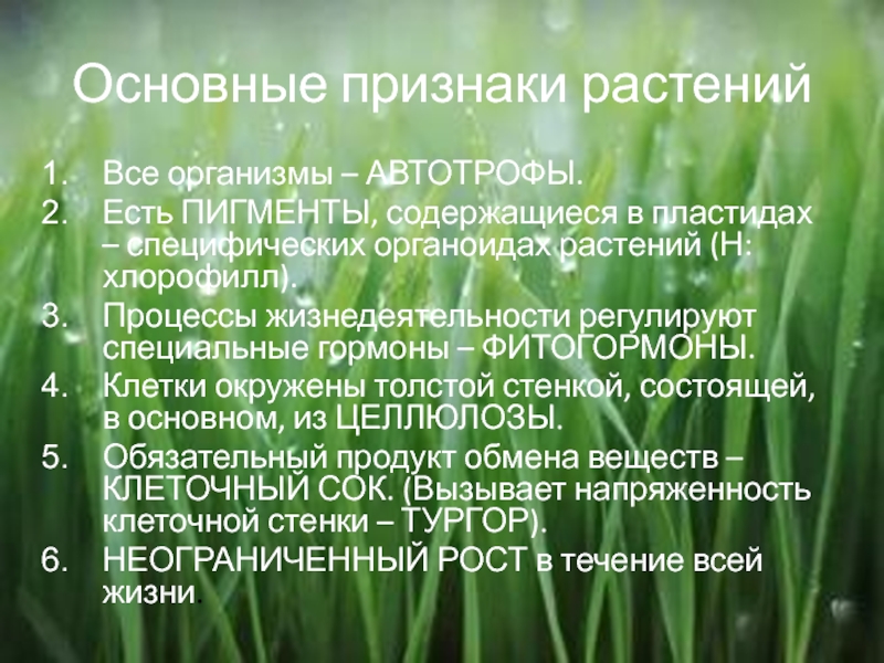 Почему покрытосеменные считают самой многочисленной группой растений. Господствующие растения на земле. Господствующая группа растений на земле. Покрытосеменные растения господствующая группа растений на земле. Почему Покрытосеменные господствуют на земле.