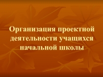 Организация проектной деятельности в начальной школе