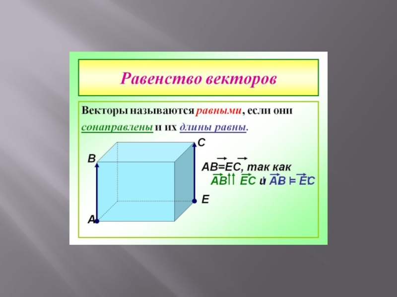 Вектор презентация 8 класс