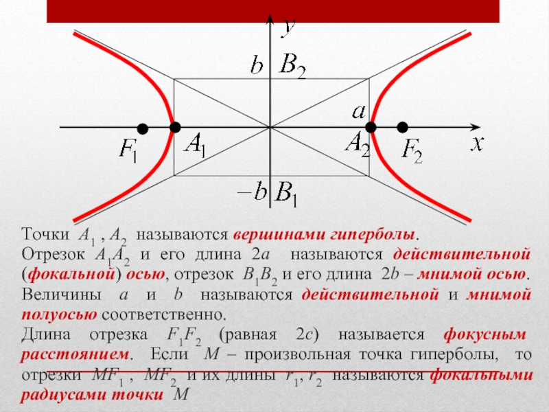 Приведите пример гиперболы