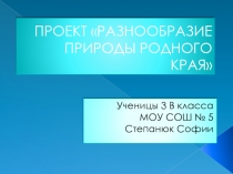 Проект разнообразие природы родного края